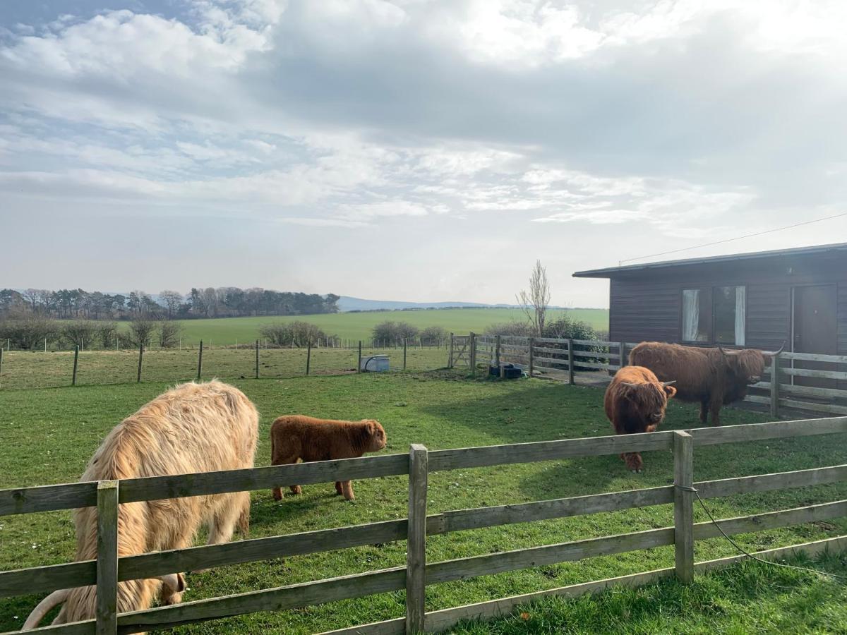 Orchard House Lodges By Ecohuman Haddington Zewnętrze zdjęcie